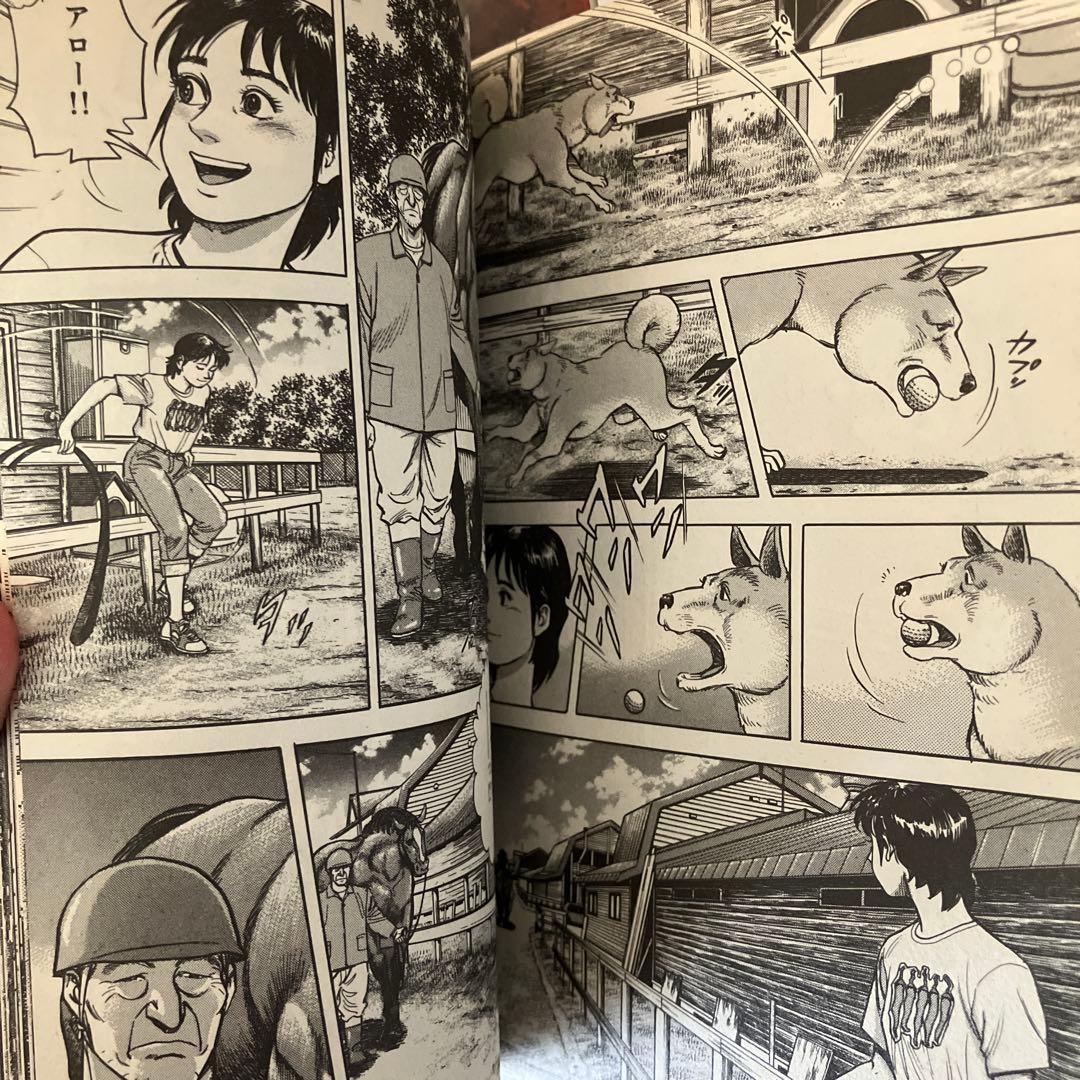 ひかりの空 全29巻1～29（完）巻セット 完結　ゴルフ感動物語　コミック名作