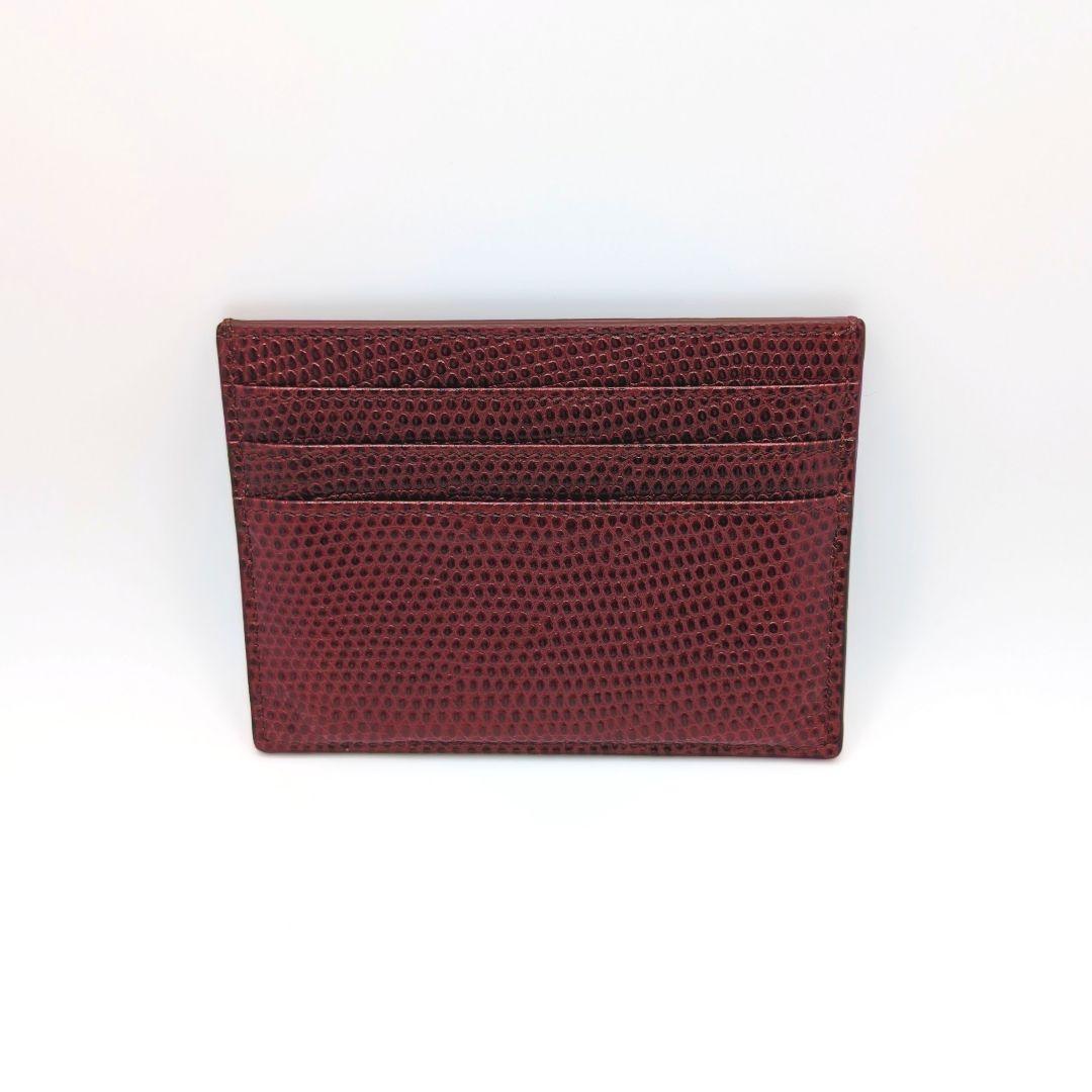 ✨️激レア新品✨️CELINE　ラージカードケース　リザード　エキゾチックレザー