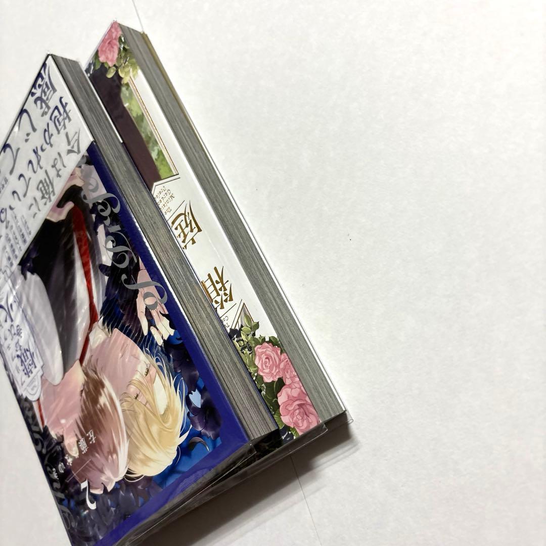 7点セット 左藤さなゆき