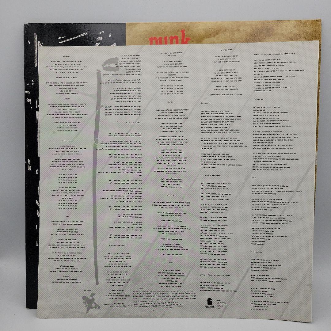 NOFX/Punk In DrublicレコードLP94年激レア