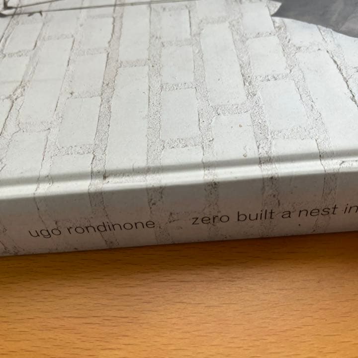 アート・デザイン・音楽 Ugo Rondinone Zero built a nest in my na