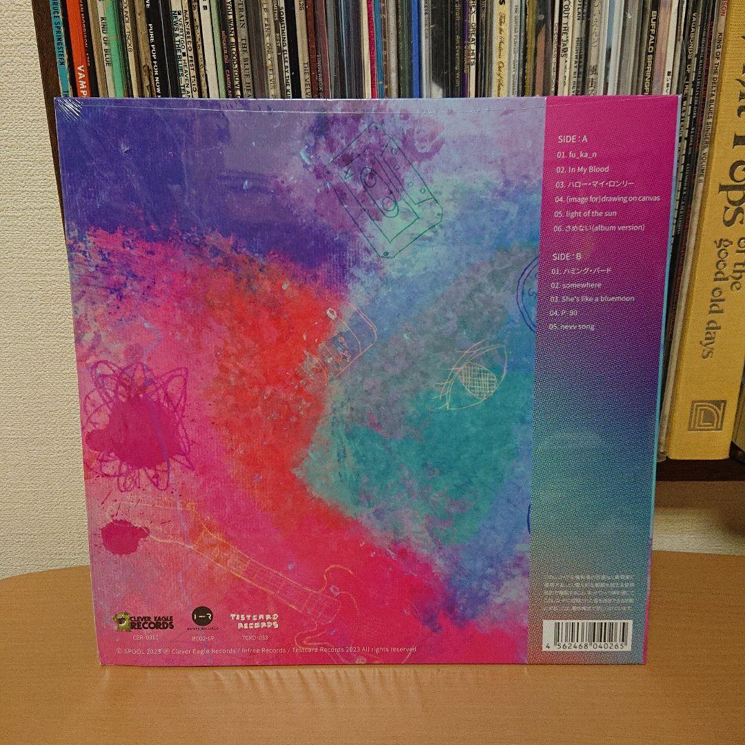 SPOOL drawing on canvas LP レコード シューゲイザー