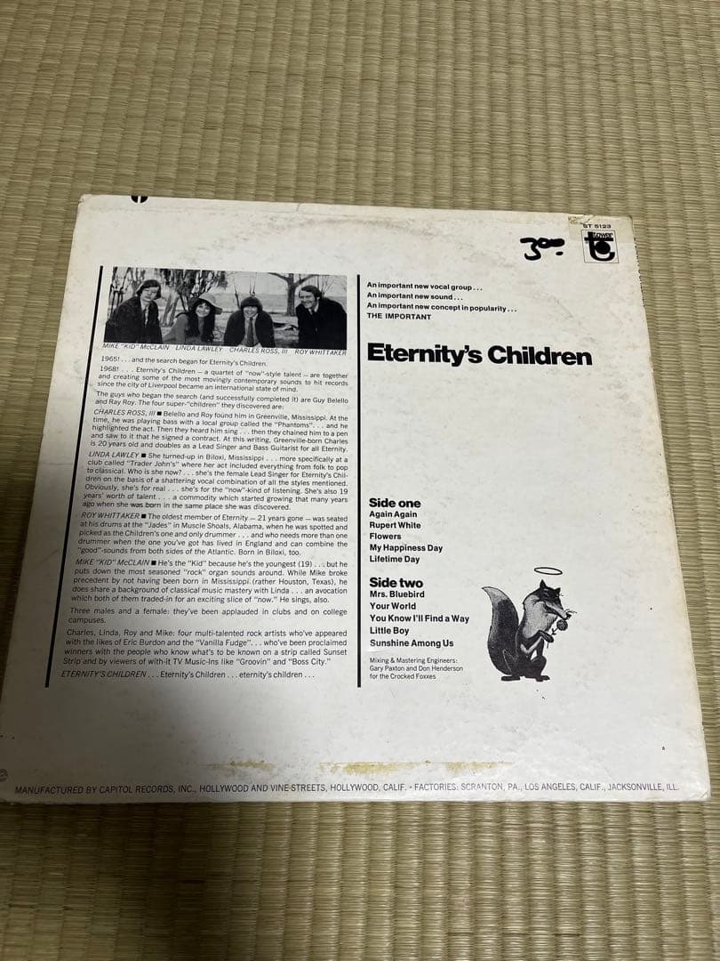 【説明必読】USオリジナル盤レコード！　Eternity's Children