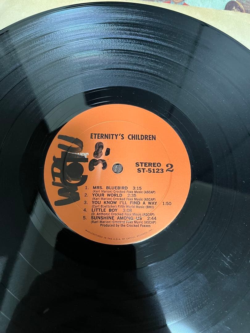 【説明必読】USオリジナル盤レコード！　Eternity's Children