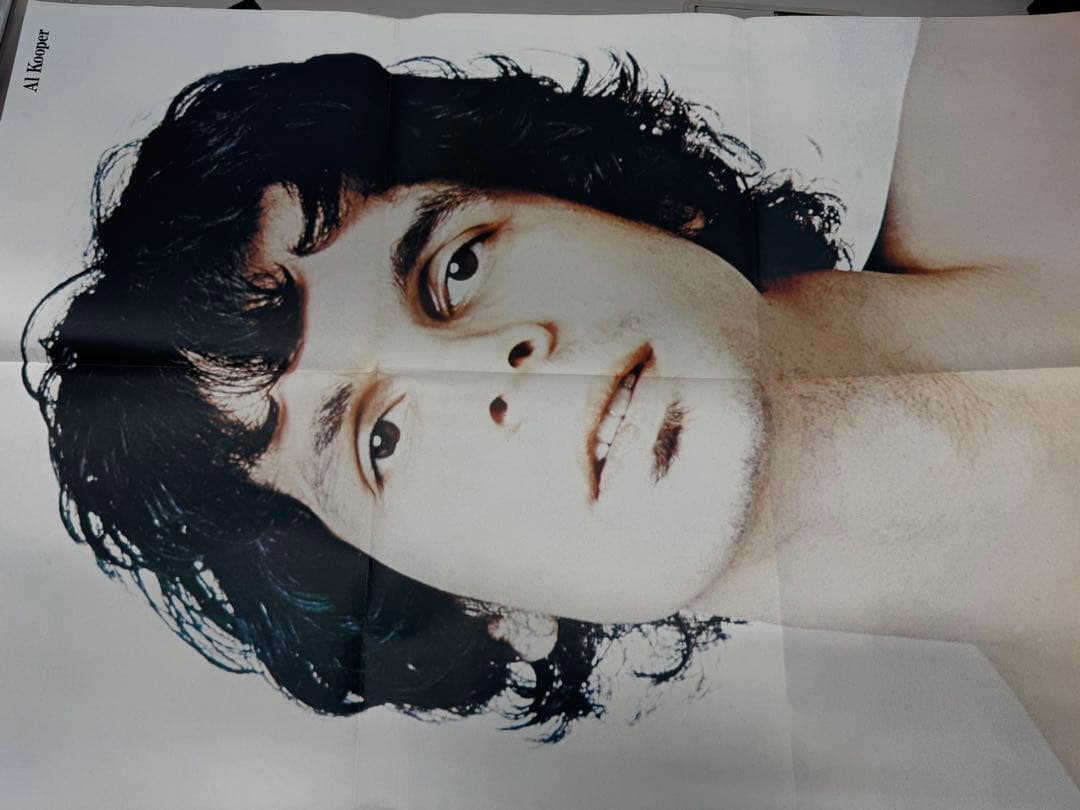O*a様 洋楽ROCK LP17枚 Beatles,Led Zeppelin,等