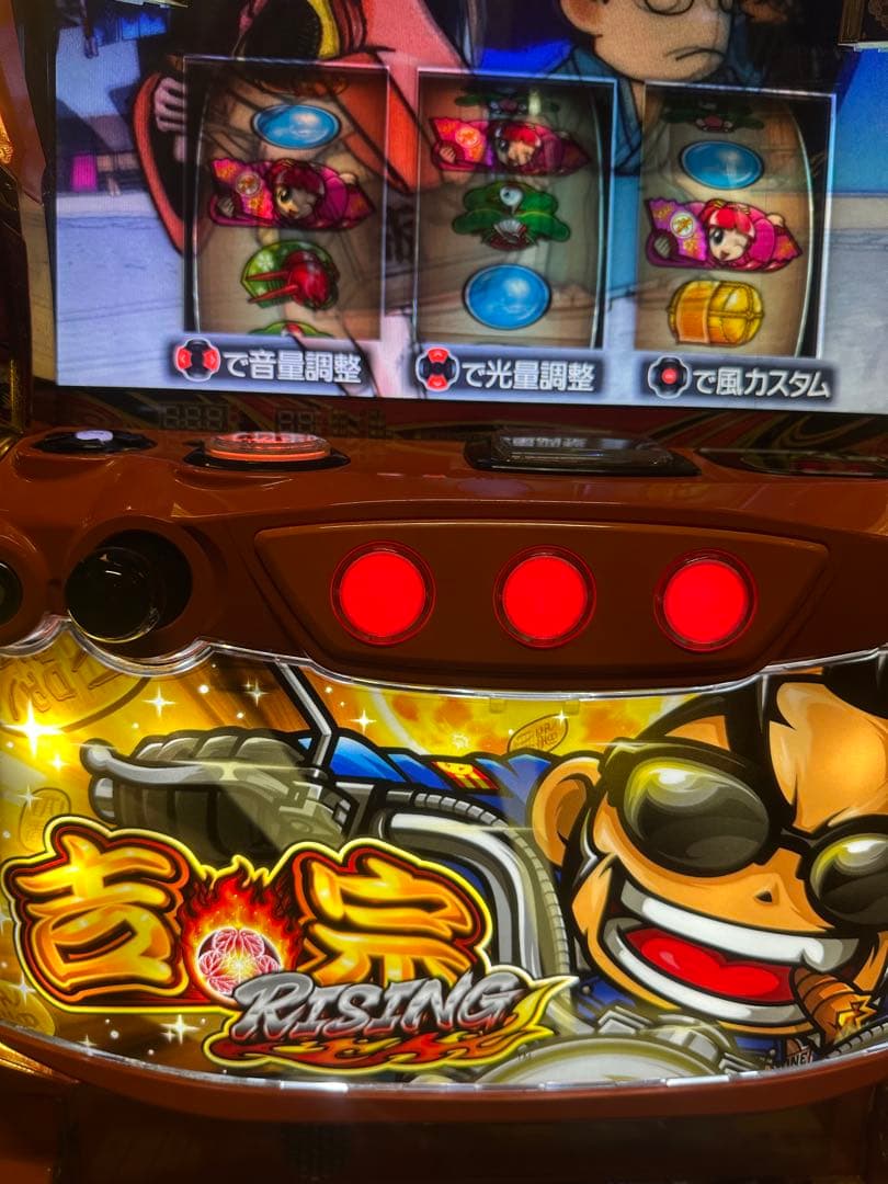 【イルミ姉専用】【吉宗ライジング】