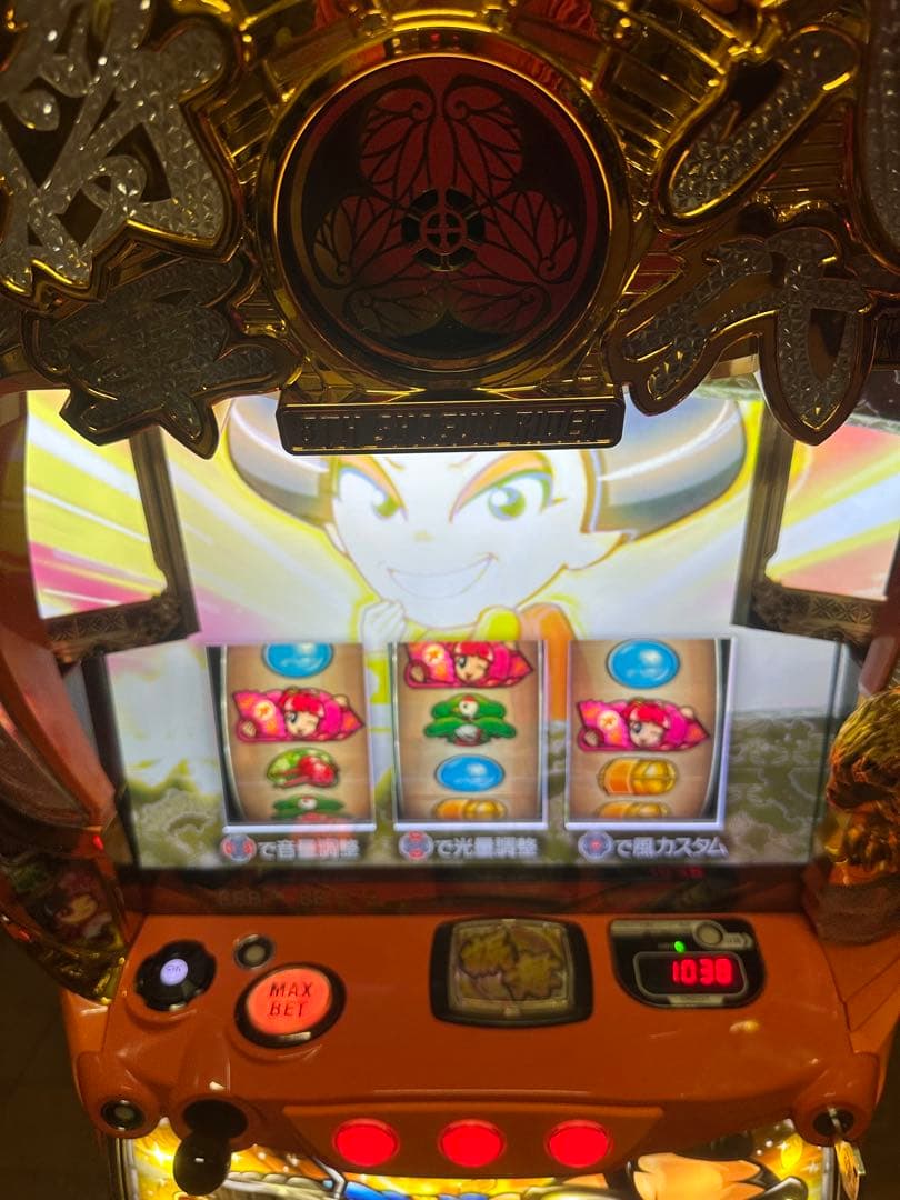 【イルミ姉専用】【吉宗ライジング】