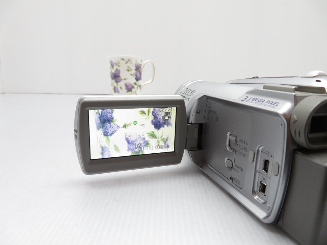 撮影確認済 Panasonic デジタルビデオカメラ NV-GS300 電池2個