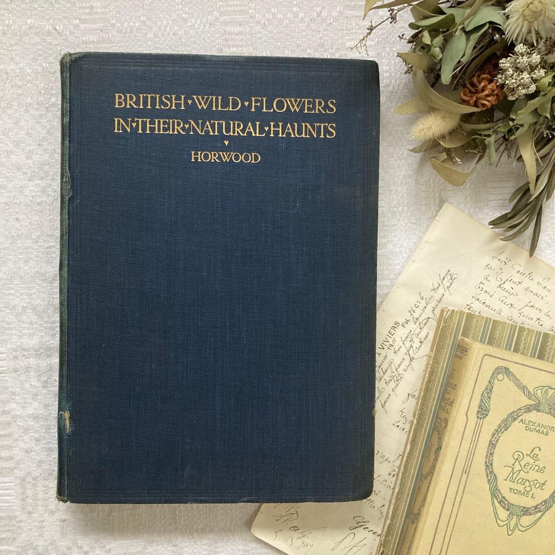 L735 1919年発行　大変希少なイギリスのアンティーク植物図鑑
