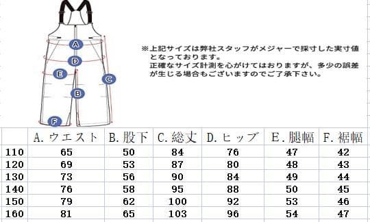 【当日発送】スノーボードウェア ビブパンツ 子供 キッズ 160