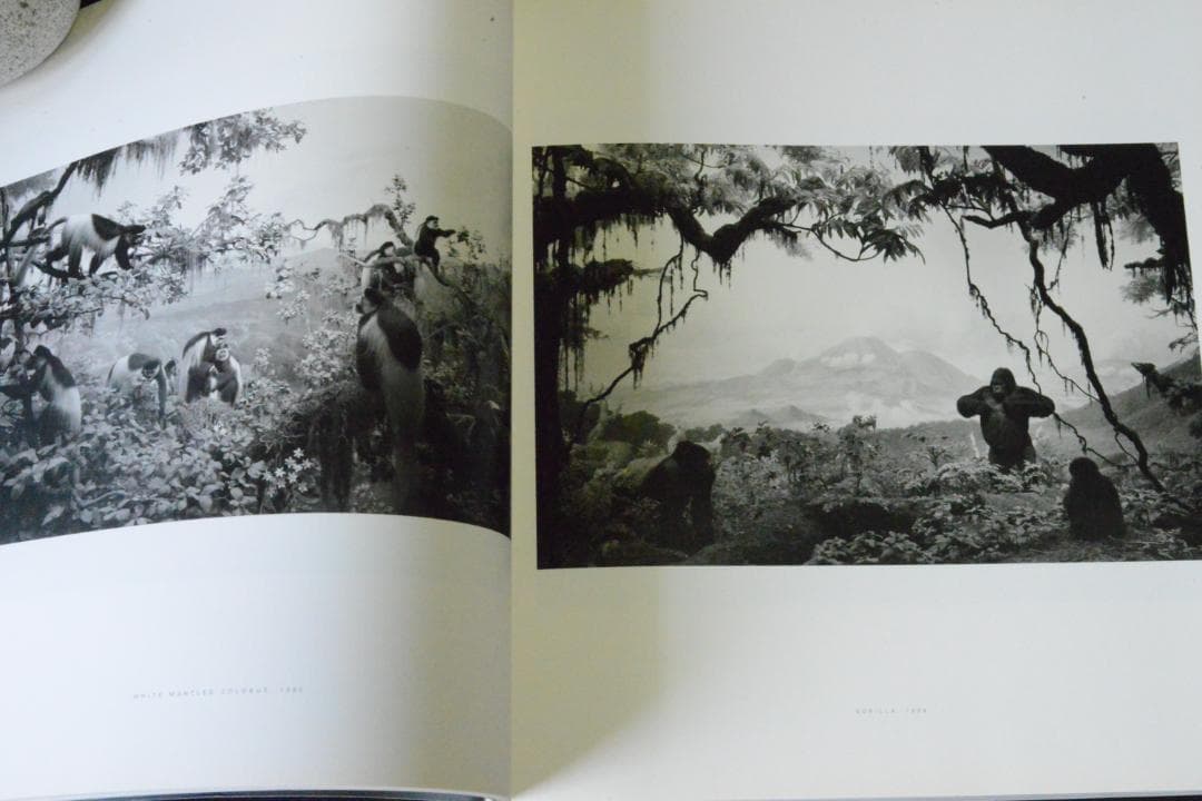 【HIROSHI SUGIMOTO】杉本博司　★★大幅に再値下げしました