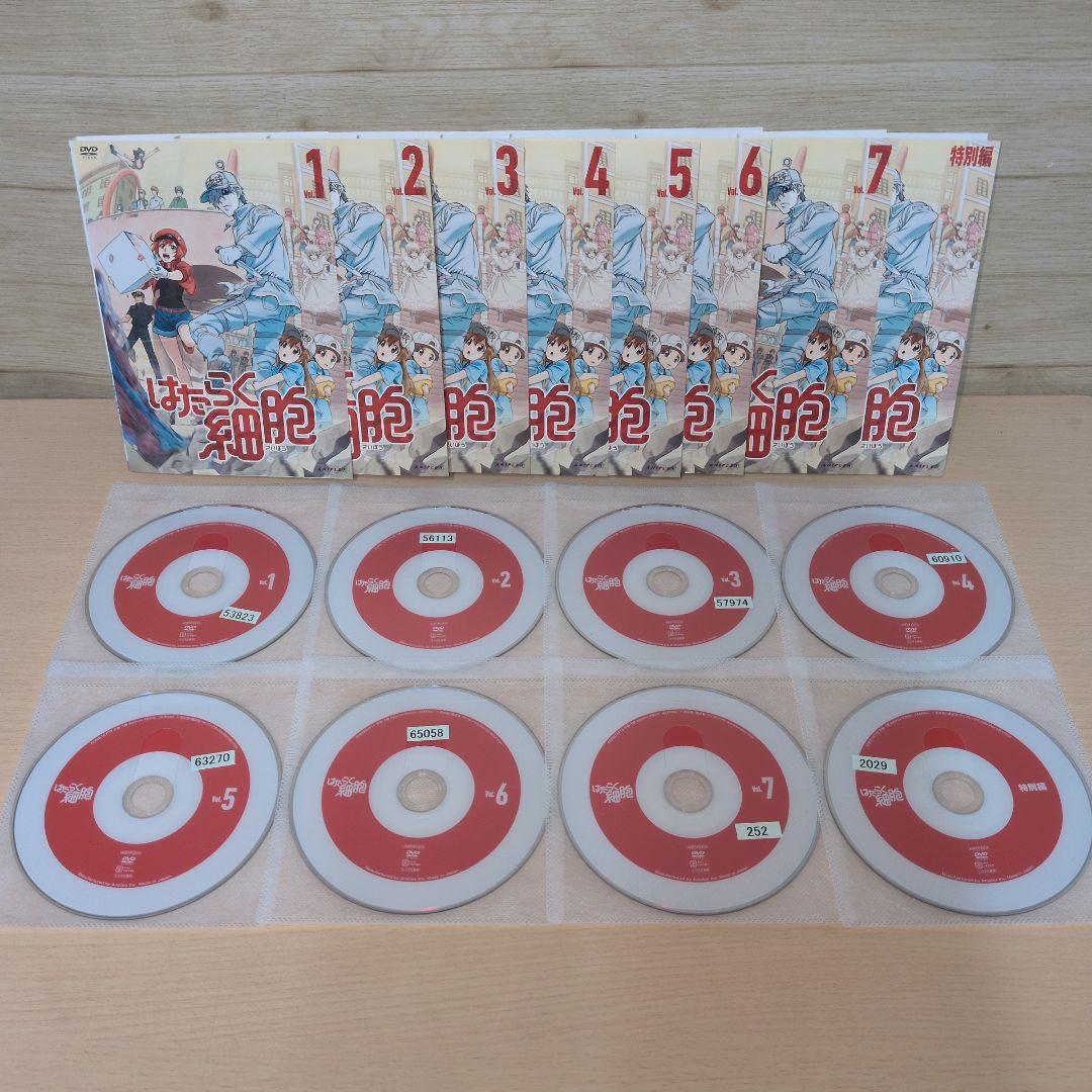 はたらく細胞 DVD 1~7巻＋特別編 全巻8巻セット