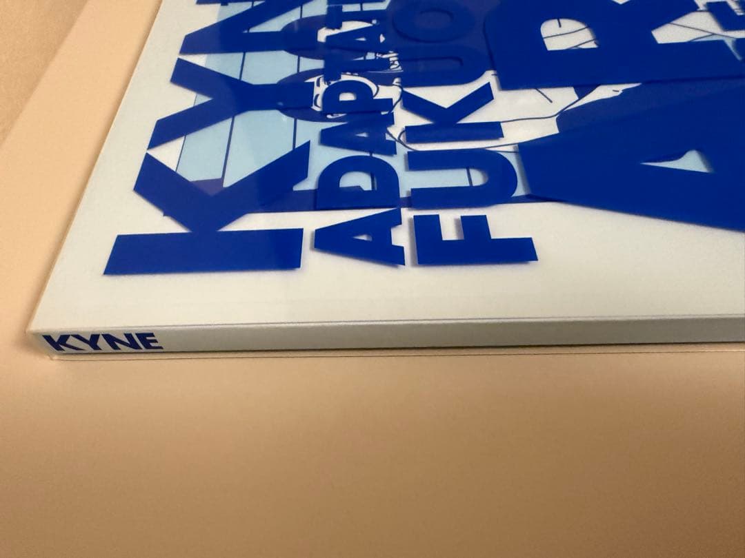 KYNE ADAPTATION FUKUOKA ART MUSEUM 図録