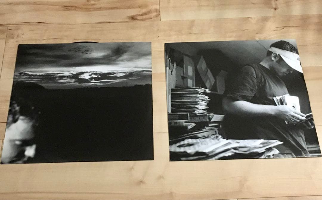 洋楽 DJ SHADOW ENDTRODUCING 2LP