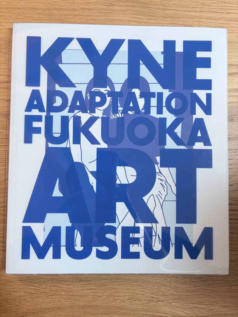 KYNE ADAPTATION FUKUOKA ART MUSEUM 図録