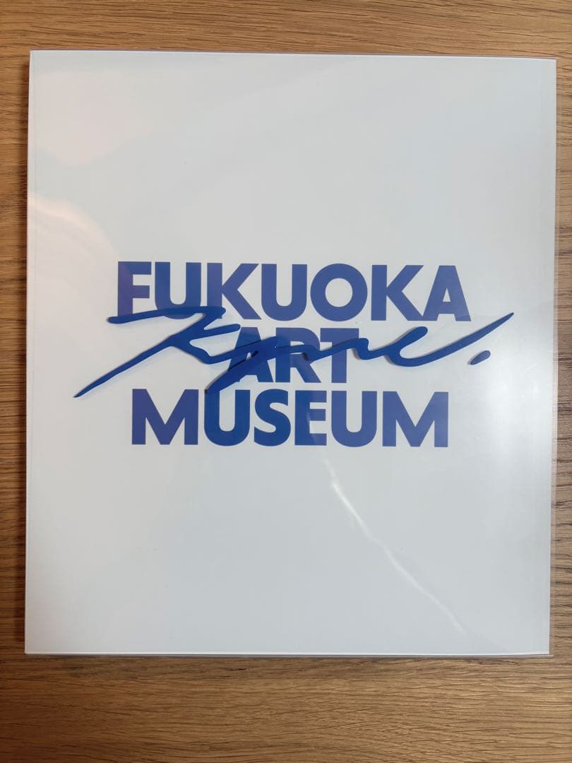 KYNE ADAPTATION FUKUOKA ART MUSEUM 図録