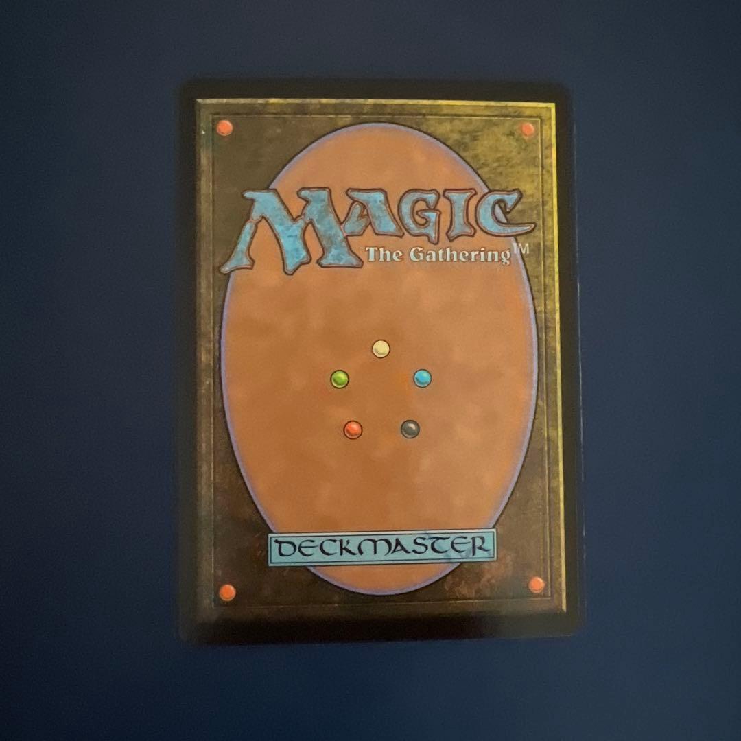 【mtg】霧深い雨林 英語版ボーダーレスFoil スペシャルゲスト SPG