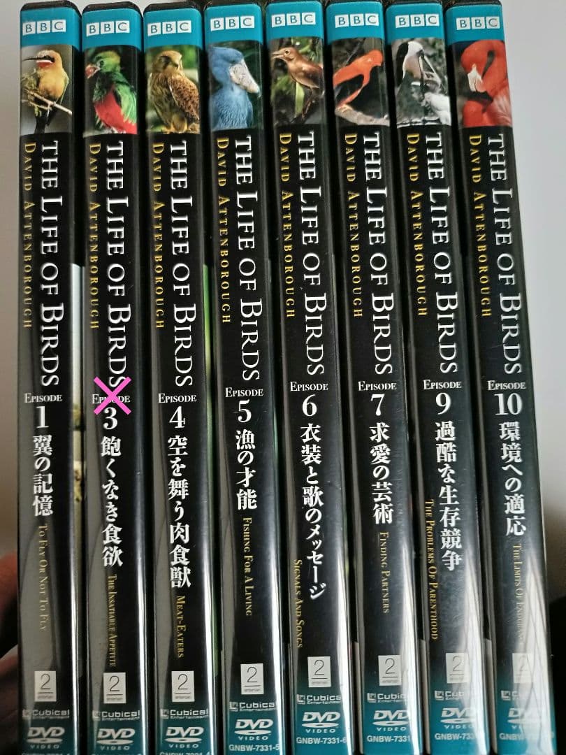 貴重！THE LIFE OF BIRDS 吹替有り セット