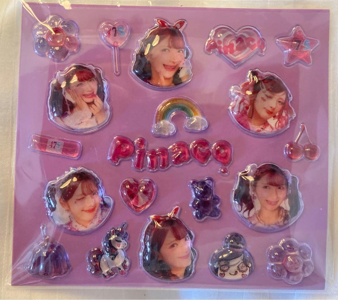 Pinaco 1周年記念セット