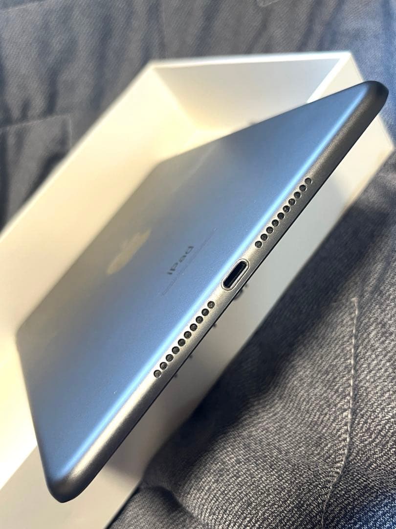 iPad mini (5th) 64GB/WiFi 箱付き A2133