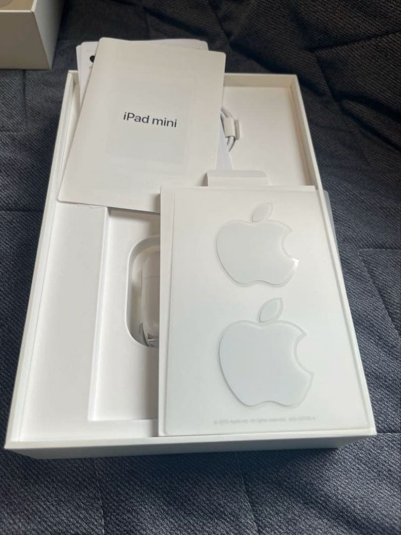 iPad mini (5th) 64GB/WiFi 箱付き A2133