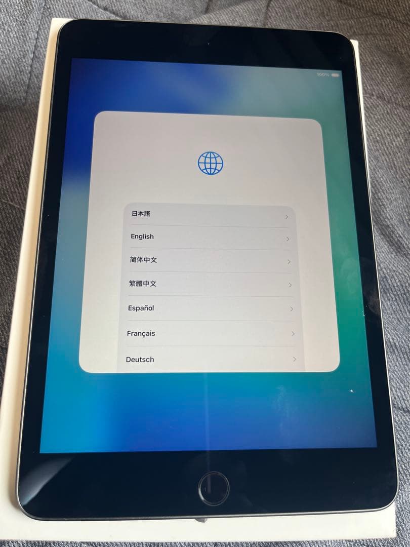 iPad mini (5th) 64GB/WiFi 箱付き A2133