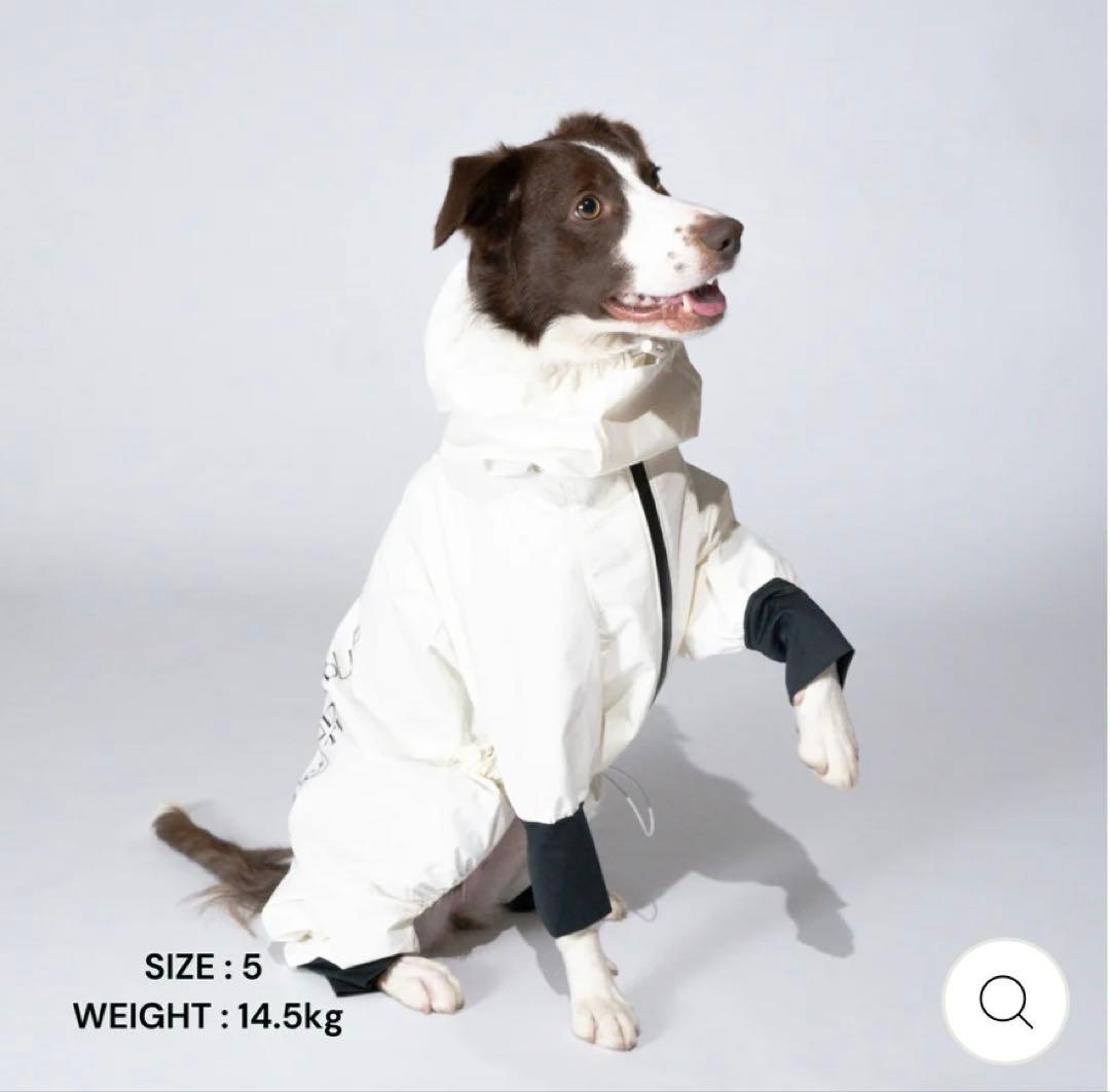 STANDING ON THE BLUE レインコート　カッパ　大型犬
