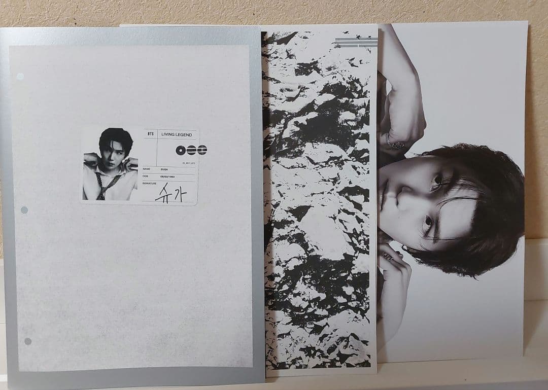 即️⭕️アリラン アナログ LP SUGA Standard Vinyl BTS