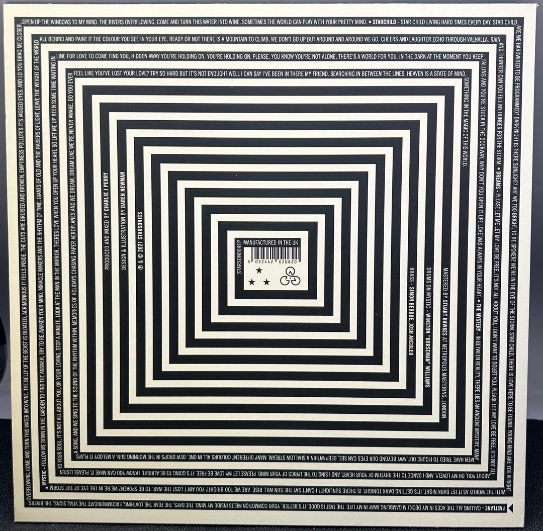 洋楽 COMMON SAINTS STARCHILD LP