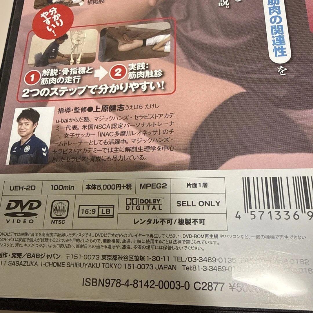 【上原健志ＤＶＤ】筋肉触診バイブル 上半身編・下半身編（上巻・下巻）セット