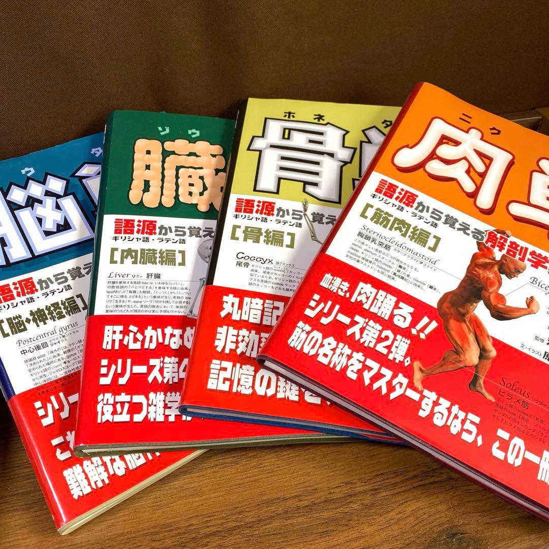 解剖学単語シリーズ 4冊セット　肉単　骨単　臓単　脳単
