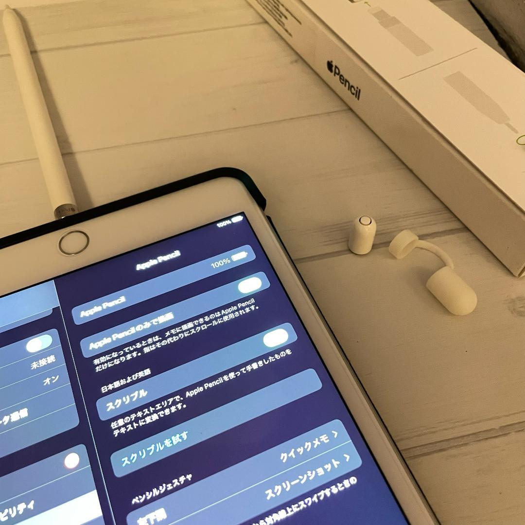 動作確認済み【純正品】Apple Pencil 第一世代 付属品＋カバーセット