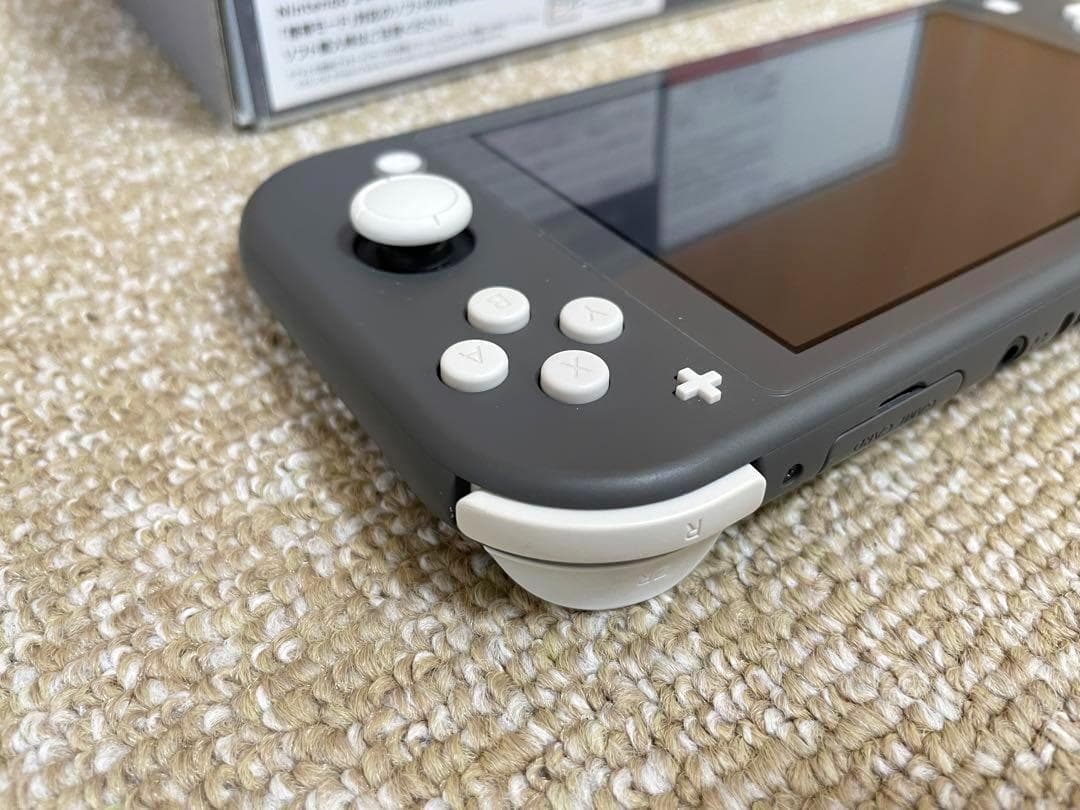 Nintendo Switch Lite グレー 本体 充電器 ケース