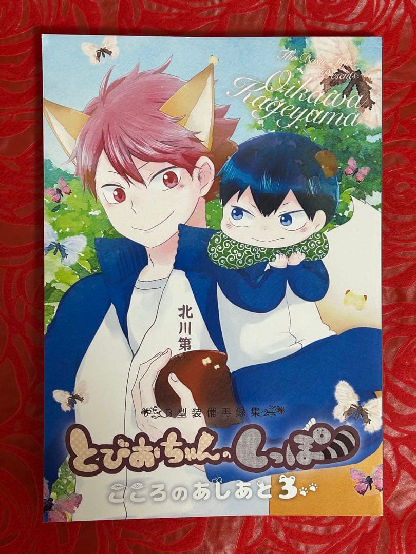 同人誌 ハイキュー こころのあしあと 3巻セット