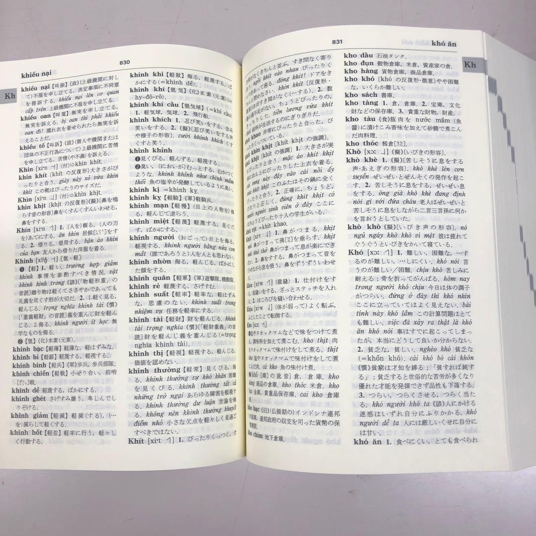 瀧沢 煌　詳解ベトナム語辞典