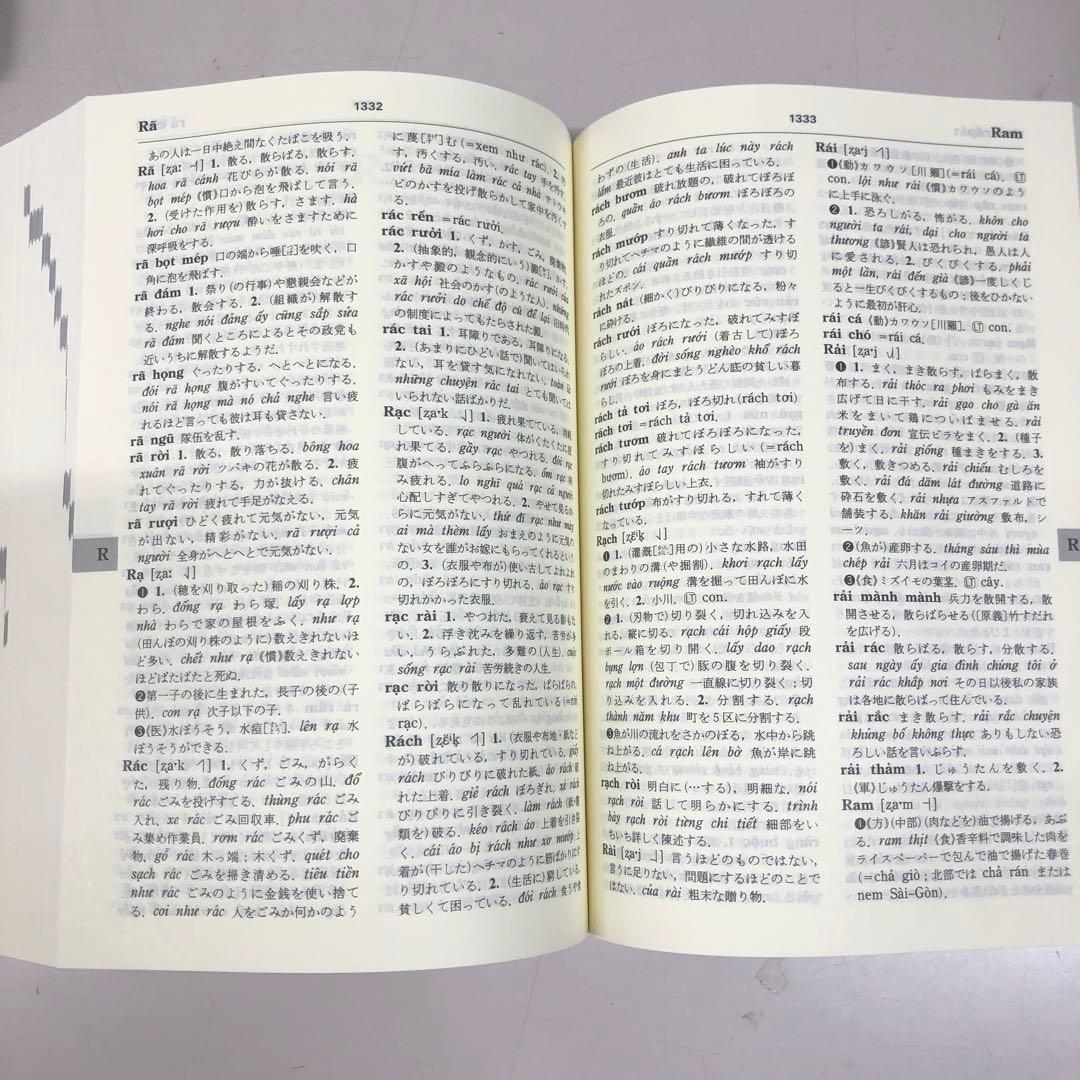 瀧沢 煌　詳解ベトナム語辞典