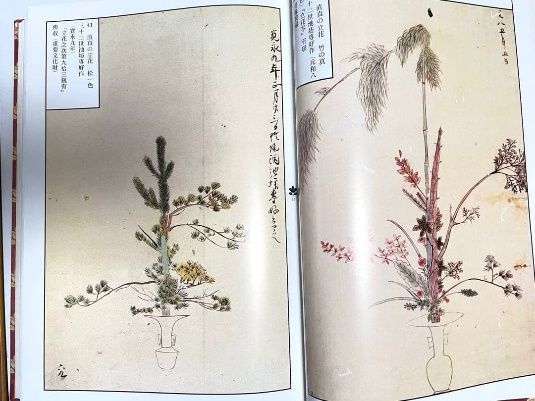【状態良好】図録 華道 池坊歴代家元花伝 池坊専永 定価35000円 大型豪華書