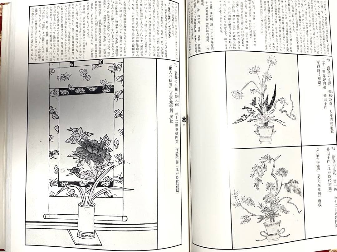 【状態良好】図録 華道 池坊歴代家元花伝 池坊専永 定価35000円 大型豪華書