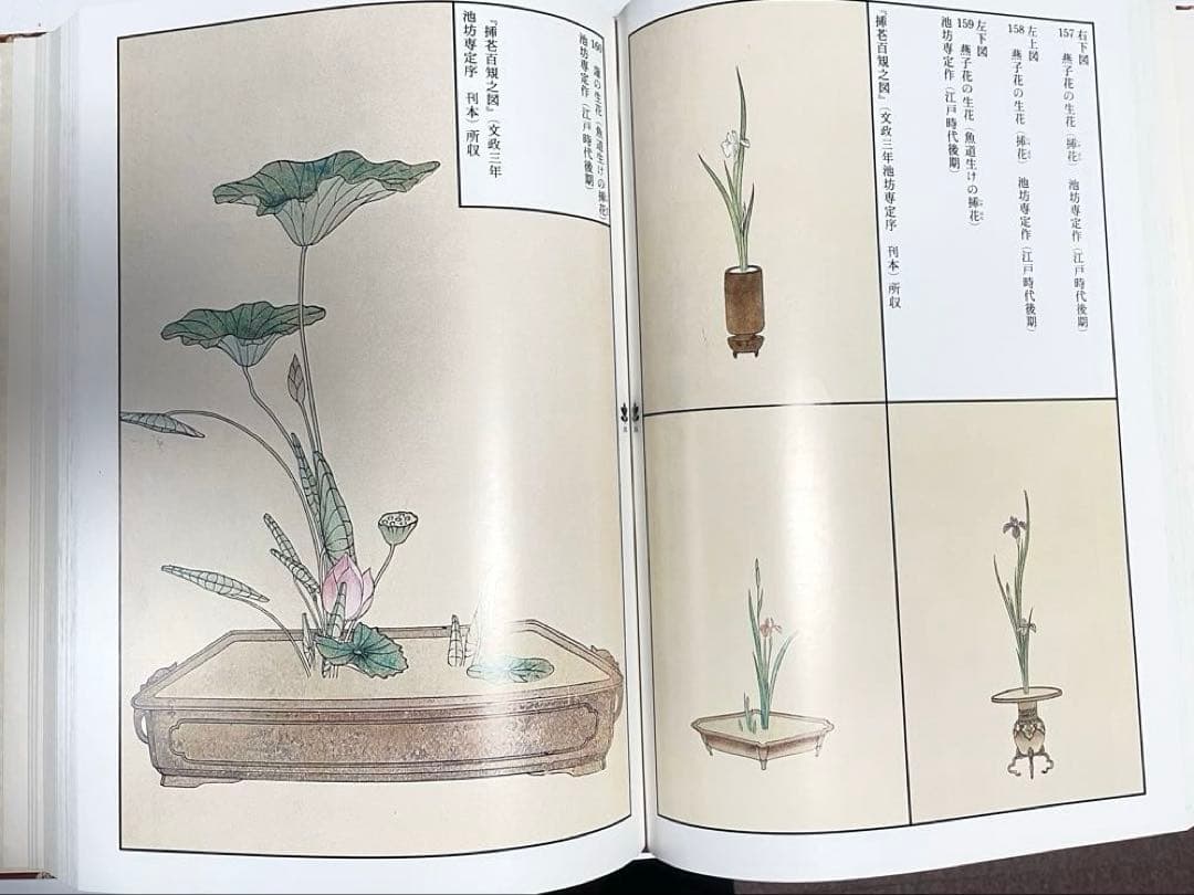 【状態良好】図録 華道 池坊歴代家元花伝 池坊専永 定価35000円 大型豪華書