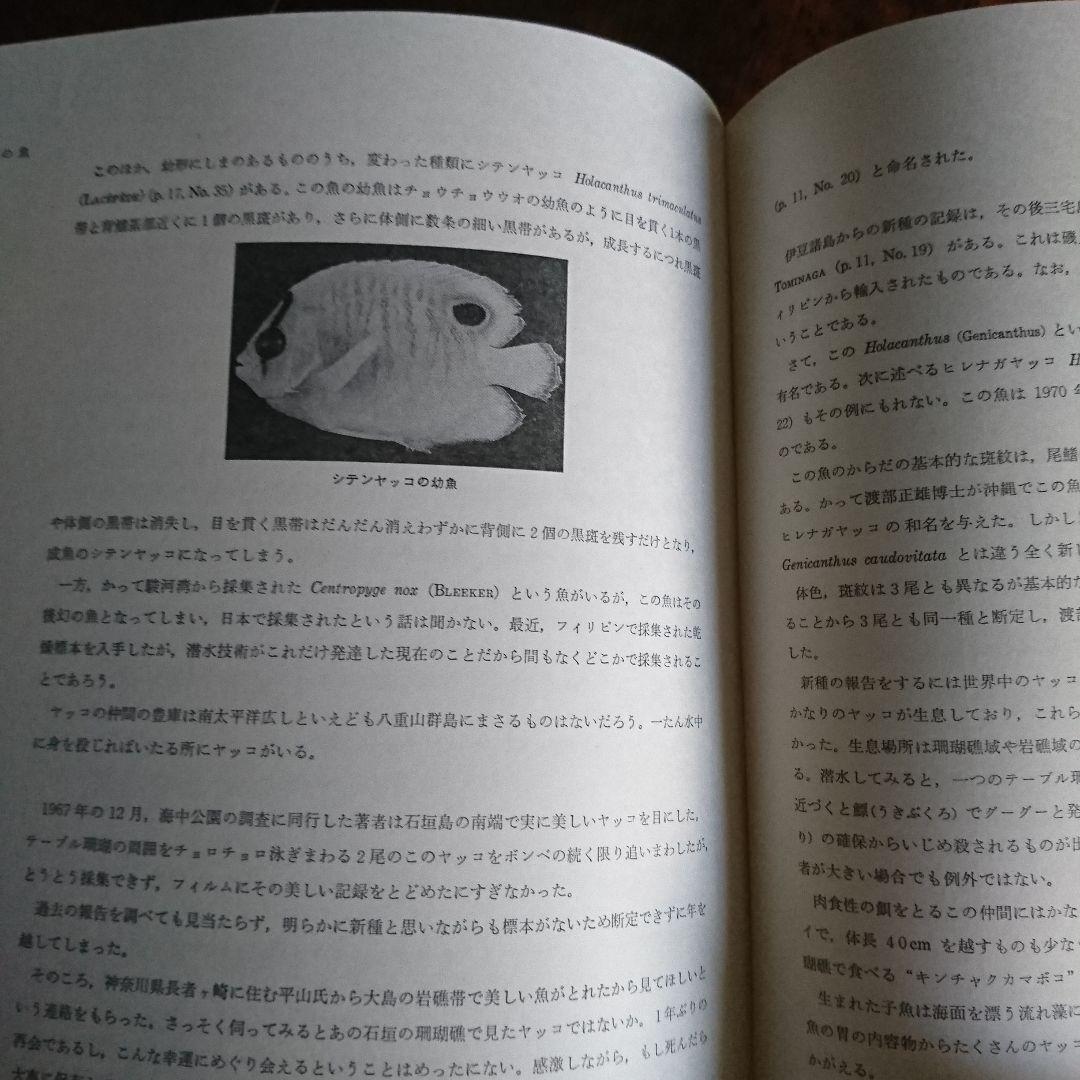 日本沿岸魚類の生態 監修檜山義夫撮影・解説 安田富士郎 出版社 講談社