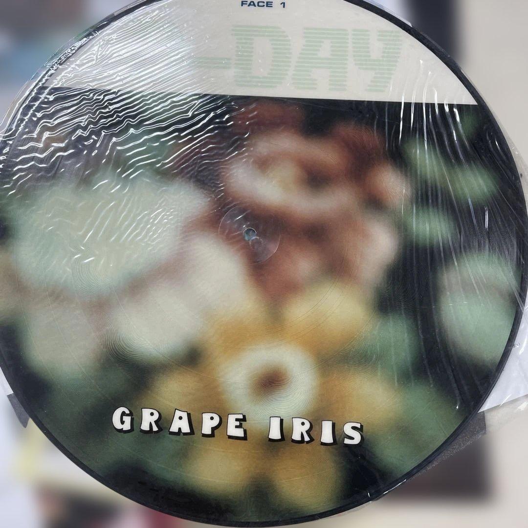 GRAPE IRIS / D-DAY ピクチャーレコード