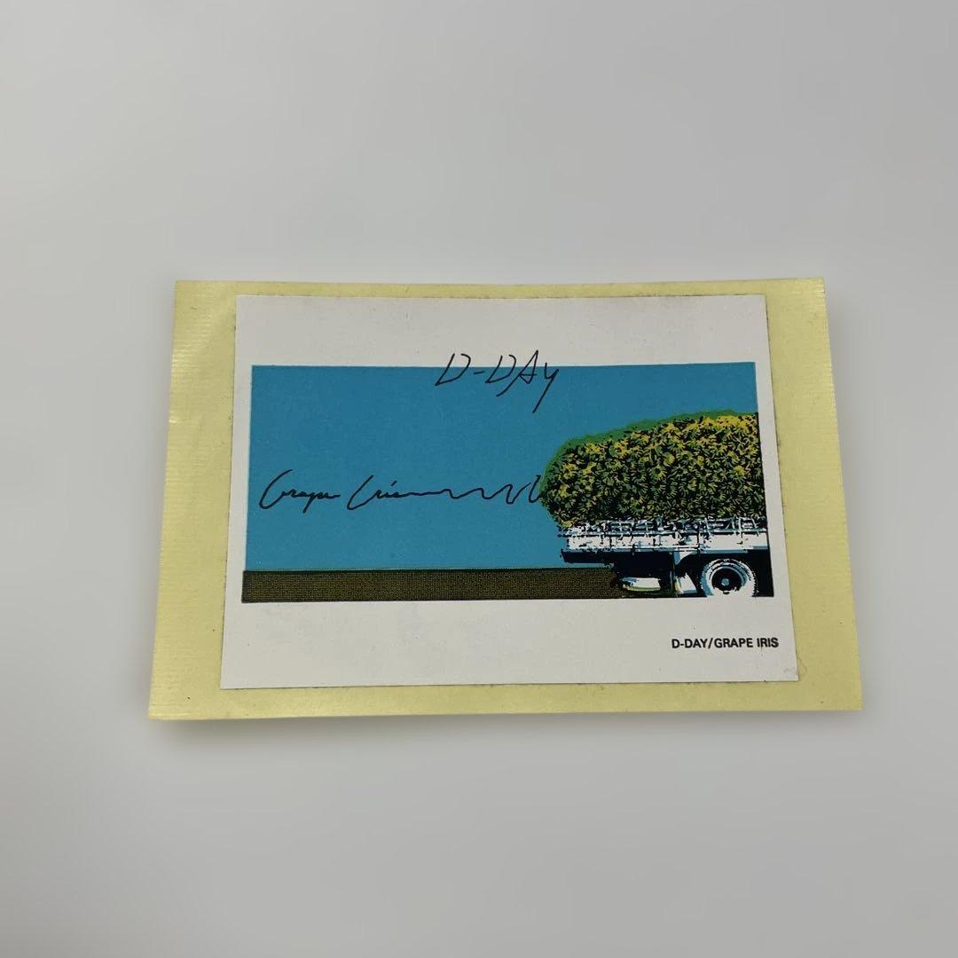 GRAPE IRIS / D-DAY ピクチャーレコード