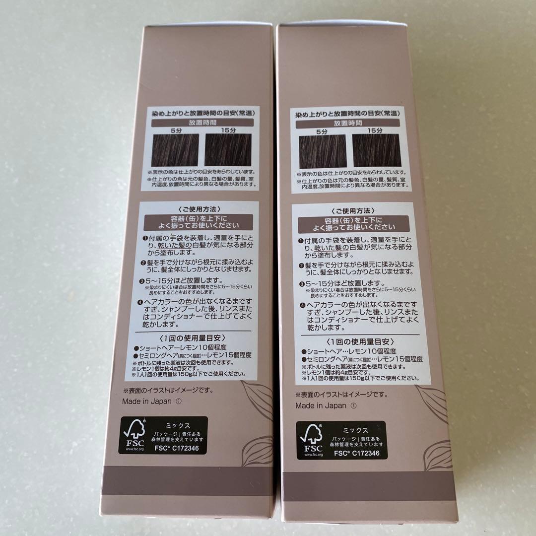 ヘアボーテエクラ　ボタニカルエアカラーフォーム150g2本セット