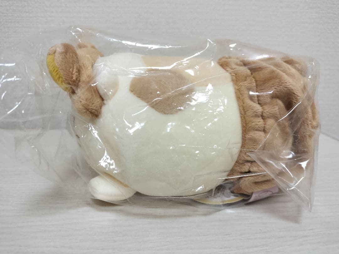 すみっコぐらし ぽっちゃりほにゃぐるみ ねこ ショップ限定