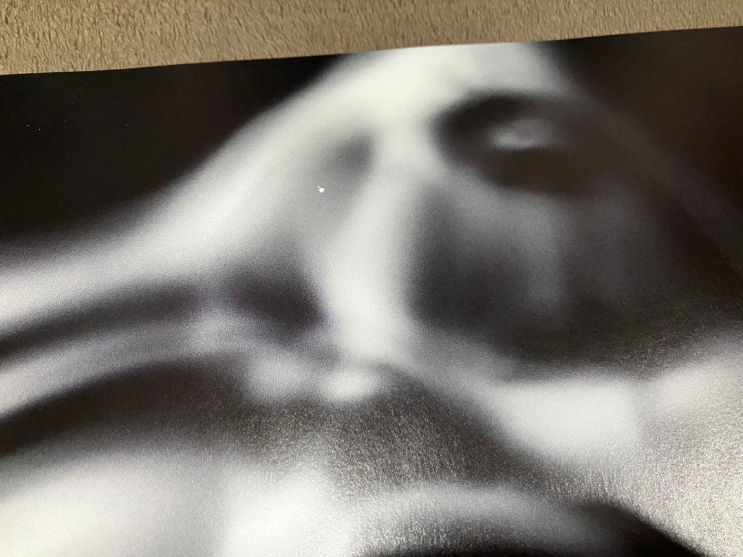DIR EN GREY 落ちた事のある空 返礼品CD+Blu-ray
