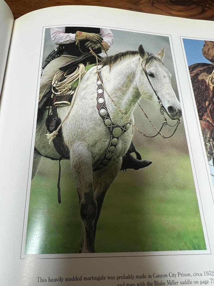 COWBOY GEAR　カウボーイ洋書　ニューメキシコ　ネイティブアメリカン