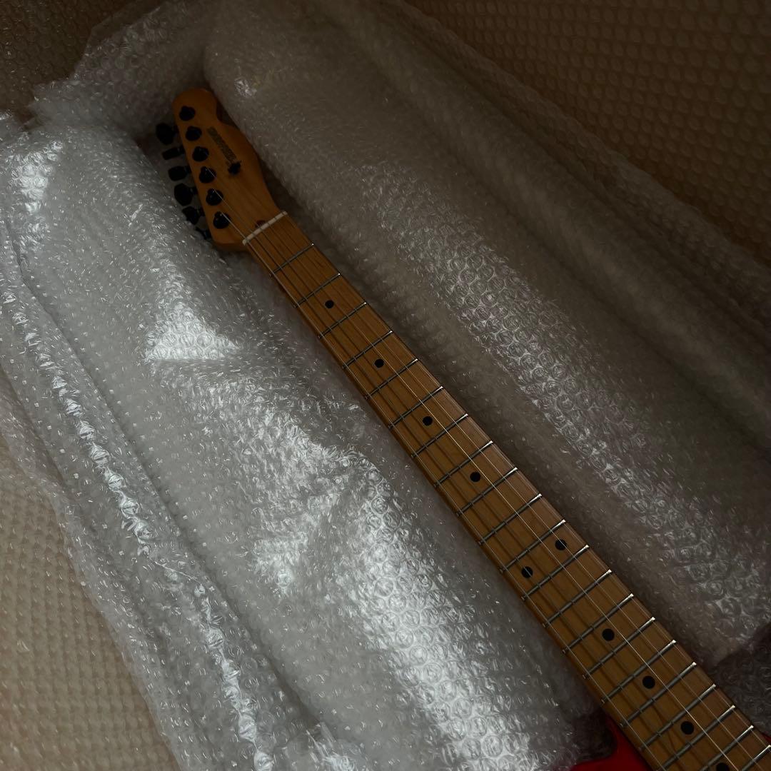 FERNANDES TE-95T JUDY AND MARY TAKUYAモデル