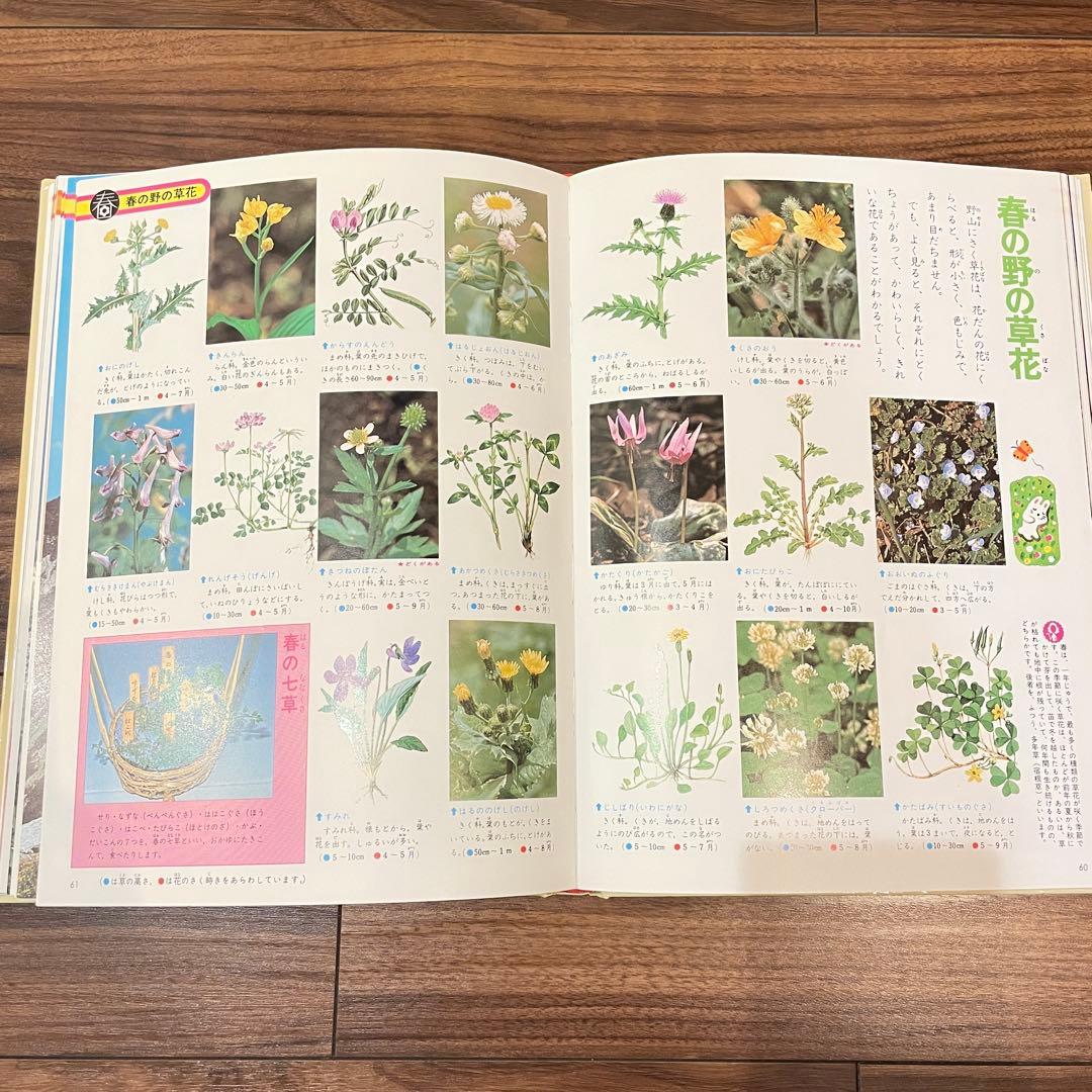 14冊セット　小学館 「こども百科事典 」「学習こども図鑑」
