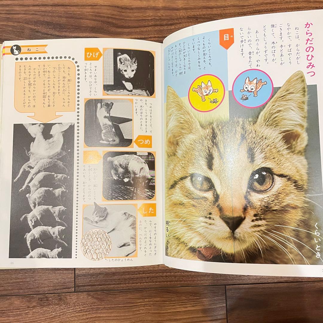 14冊セット　小学館 「こども百科事典 」「学習こども図鑑」