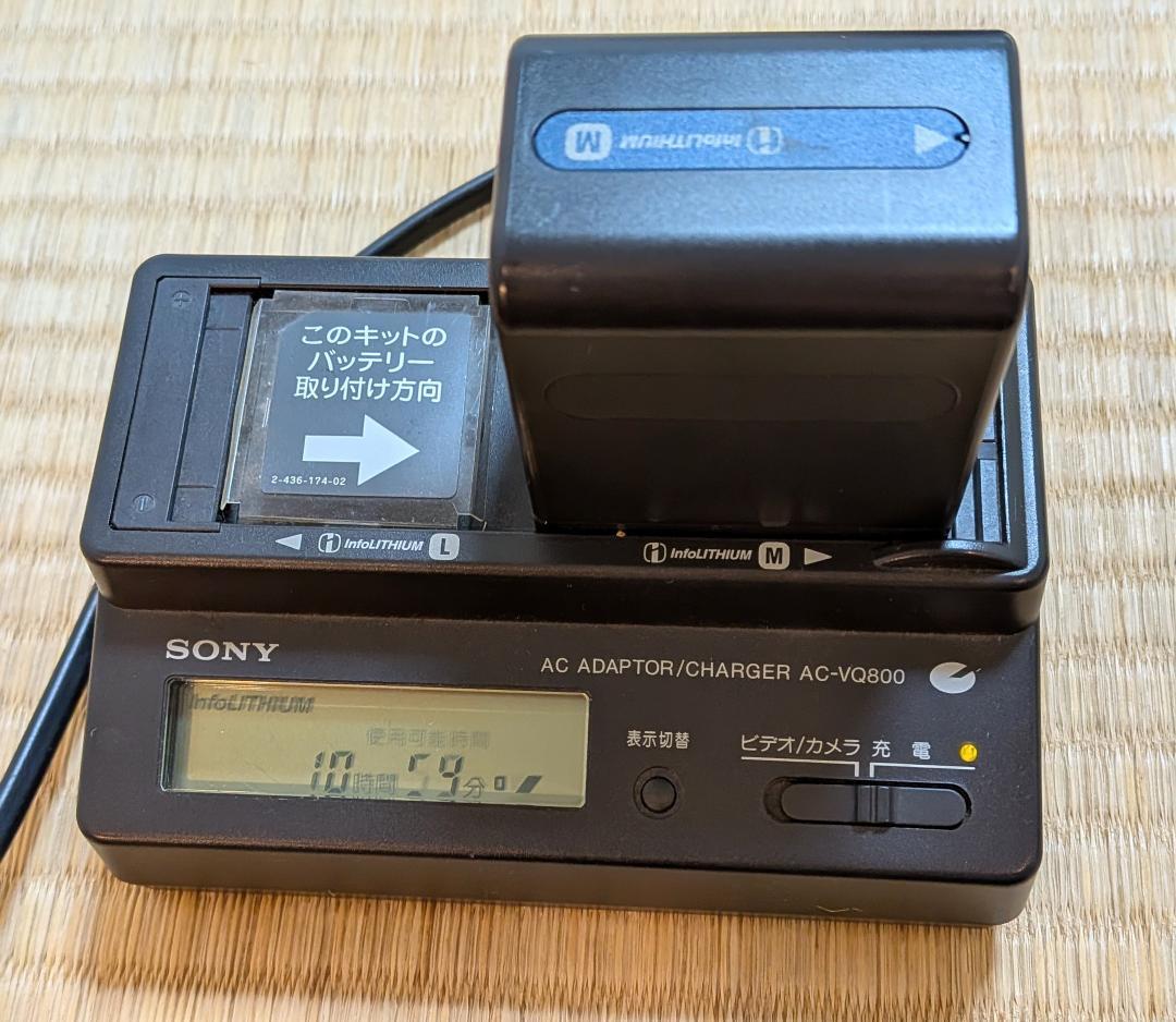 SONY DCR-TRV10 ビデオカメラ